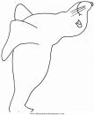 animales/focas/focas_11.JPG