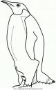animales/focas/focas_13.JPG
