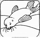 animales/focas/focas_20.JPG