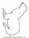 animales/focas/focas_24.JPG