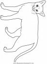 animales/gatos/gatos_000.JPG