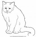 animales/gatos/gatos_002.JPG