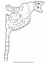 animales/gatos/gatos_010.JPG