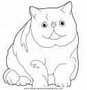 animales/gatos/gatos_011.JPG