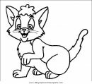animales/gatos/gatos_021.JPG