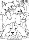 animales/gatos/gatos_028.JPG