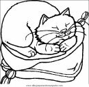 animales/gatos/gatos_032.JPG