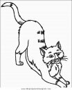 animales/gatos/gatos_044.JPG