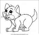 animales/gatos/gatos_045.JPG