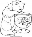 animales/gatos/gatos_060.JPG