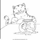 animales/gatos/gatos_063.JPG