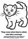 animales/gatos/gatos_076.JPG