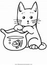 animales/gatos/gatos_079.JPG