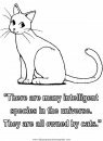 animales/gatos/gatos_081.JPG