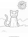 animales/gatos/gatos_101.JPG
