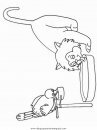 animales/gatos/gatos_111.JPG