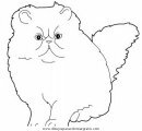 animales/gatos/gatos_112.JPG