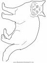 animales/gatos/gatos_113.JPG