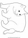 animales/gatos/gatos_114.JPG