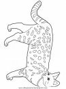 animales/gatos/gatos_120.JPG