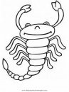 animales/insectos/alacran_3.JPG