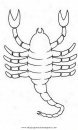 animales/insectos/alacran_5.JPG
