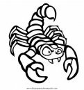 animales/insectos/alacran_6.JPG