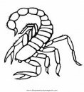 animales/insectos/alacran_7.JPG