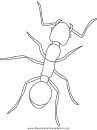 animales/insectos/ant.JPG
