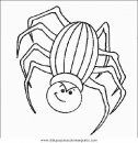animales/insectos/aranas_01.JPG