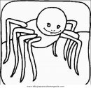animales/insectos/aranas_04.JPG