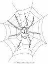 animales/insectos/aranas_06.JPG