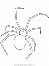 animales/insectos/black-widow-spider.JPG