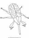 animales/insectos/boll-weevil.JPG