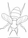 animales/insectos/bumblebee.JPG