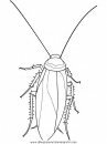 animales/insectos/cockroach.JPG