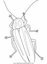 animales/insectos/firefly.JPG