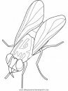 animales/insectos/housefly.JPG