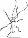 animales/insectos/insectos_000.JPG