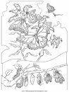 animales/insectos/insectos_009.JPG