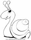 animales/insectos/insectos_010.JPG