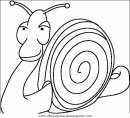 animales/insectos/insectos_013.JPG