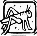 animales/insectos/insectos_020.JPG