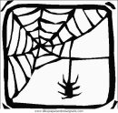 animales/insectos/insectos_022.JPG