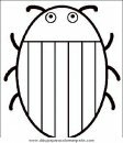 animales/insectos/insectos_027.JPG