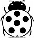 animales/insectos/insectos_028.JPG