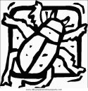 animales/insectos/insectos_030.JPG
