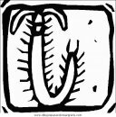 animales/insectos/insectos_031.JPG