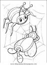 animales/insectos/insectos_032.JPG