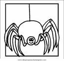 animales/insectos/insectos_034.JPG